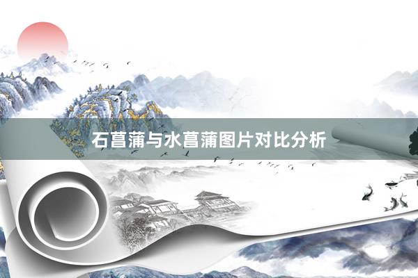 石菖蒲与水菖蒲图片对比分析