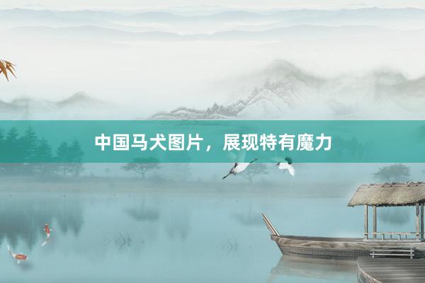中国马犬图片，展现特有魔力